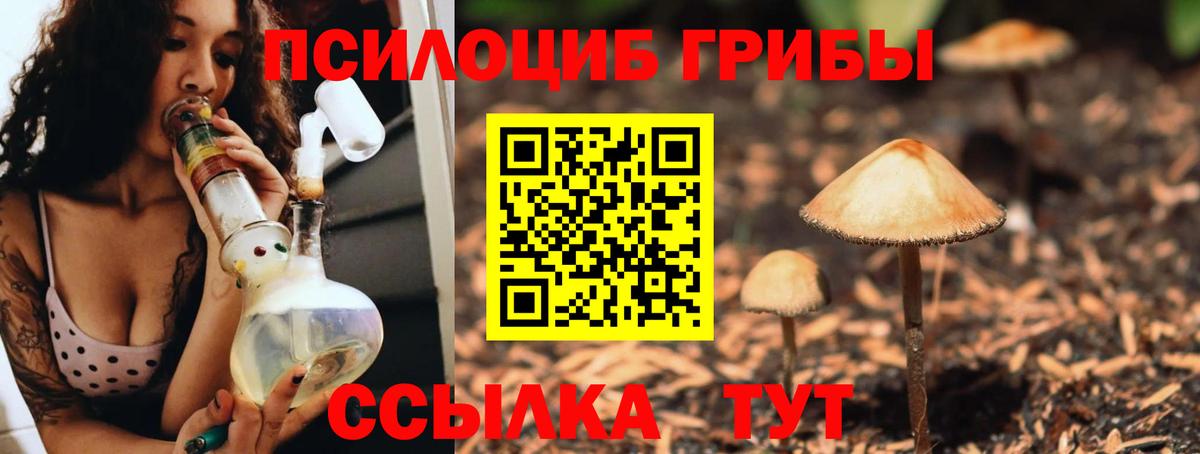 Псилоцибиновые грибы ЛСД Среднеуральск